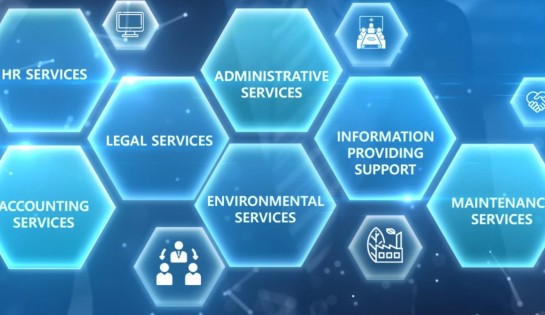 ECOSYSTEM OF SUPPORTING SERVICES