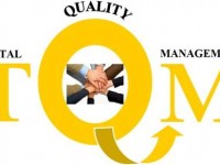 [Consultation & Implementation] Management System Standard