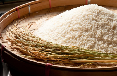 Current Status Of Vietnam's Agriculture And Fisheries Industry And Export Market