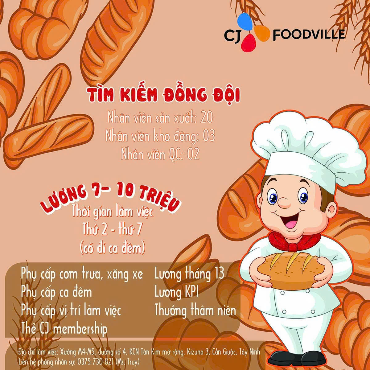 CÔNG TY CJ FOODVILLE TUYỂN DỤNG NHIỀU VỊ TRÍ